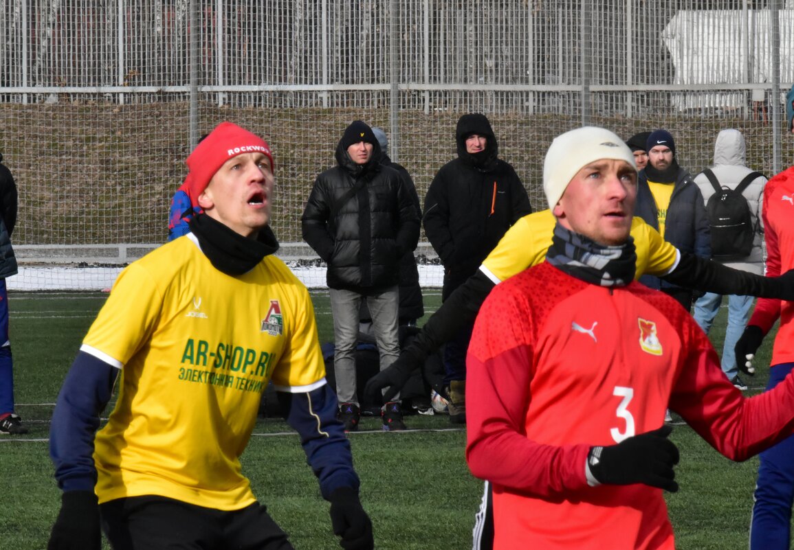 *** - Наталья Вязигина