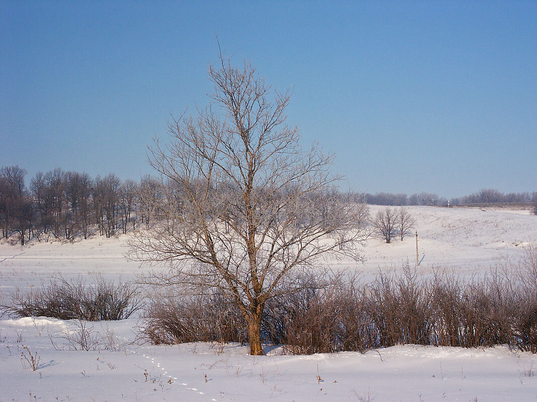 Последние дни зимы - MILAV V