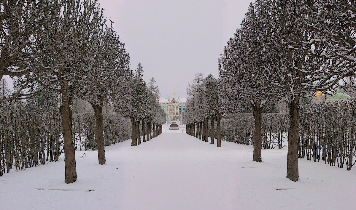 *** - Сергей Григорьев
