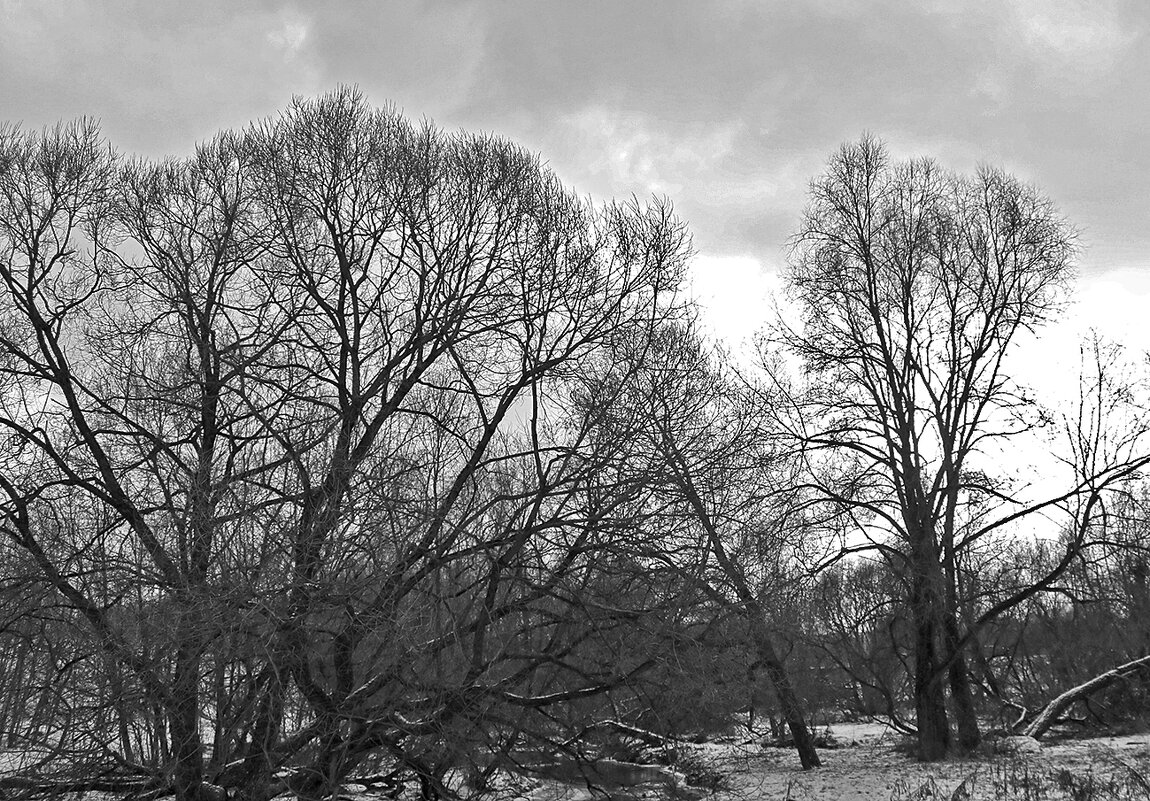 *** - Светлана 