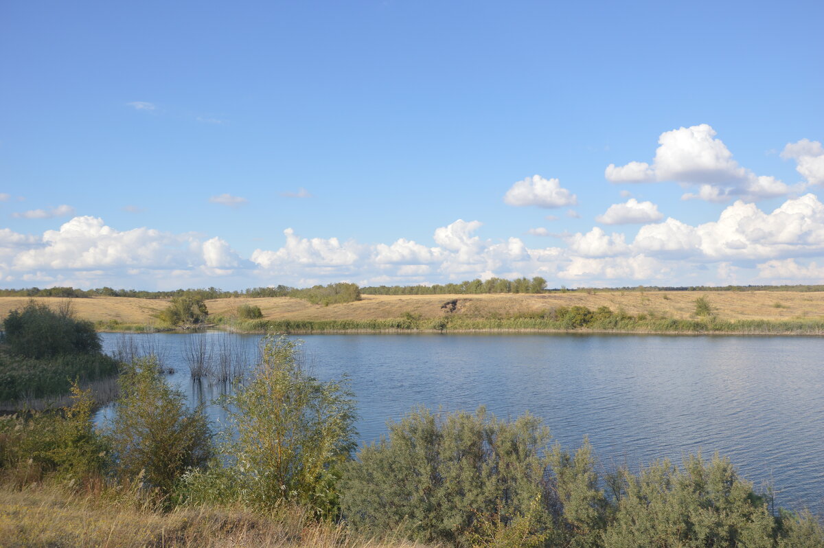 У пруда. - Виктор 