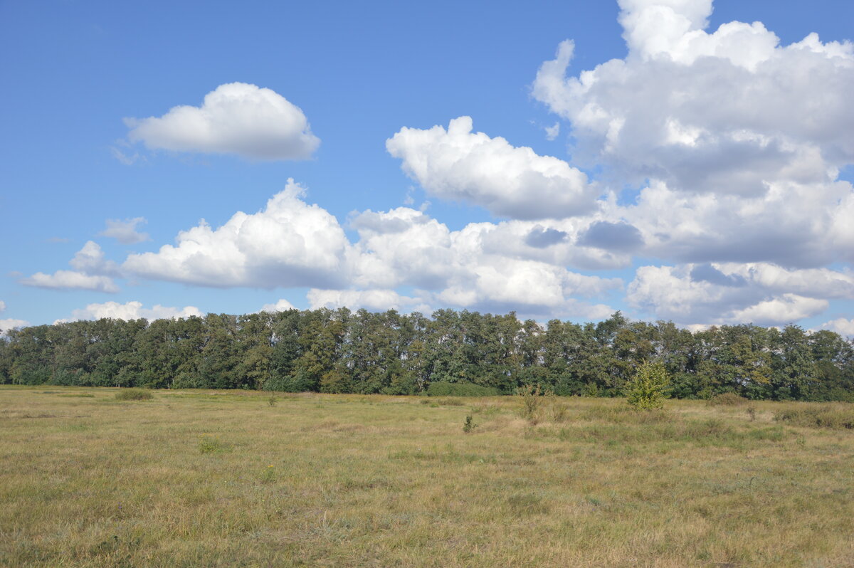 Донские виды. - Виктор Донские виды. - Виктор