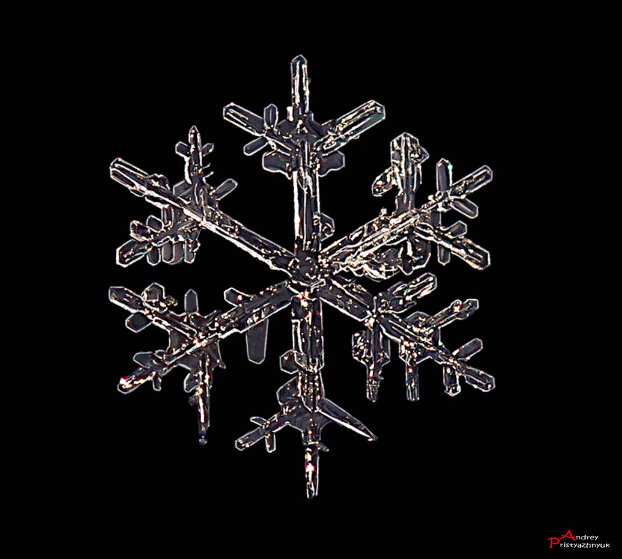 СНЕЖИНКА - Андрей Пристяжнюк