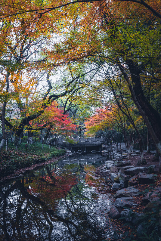 Осенний парк - Дмитрий 