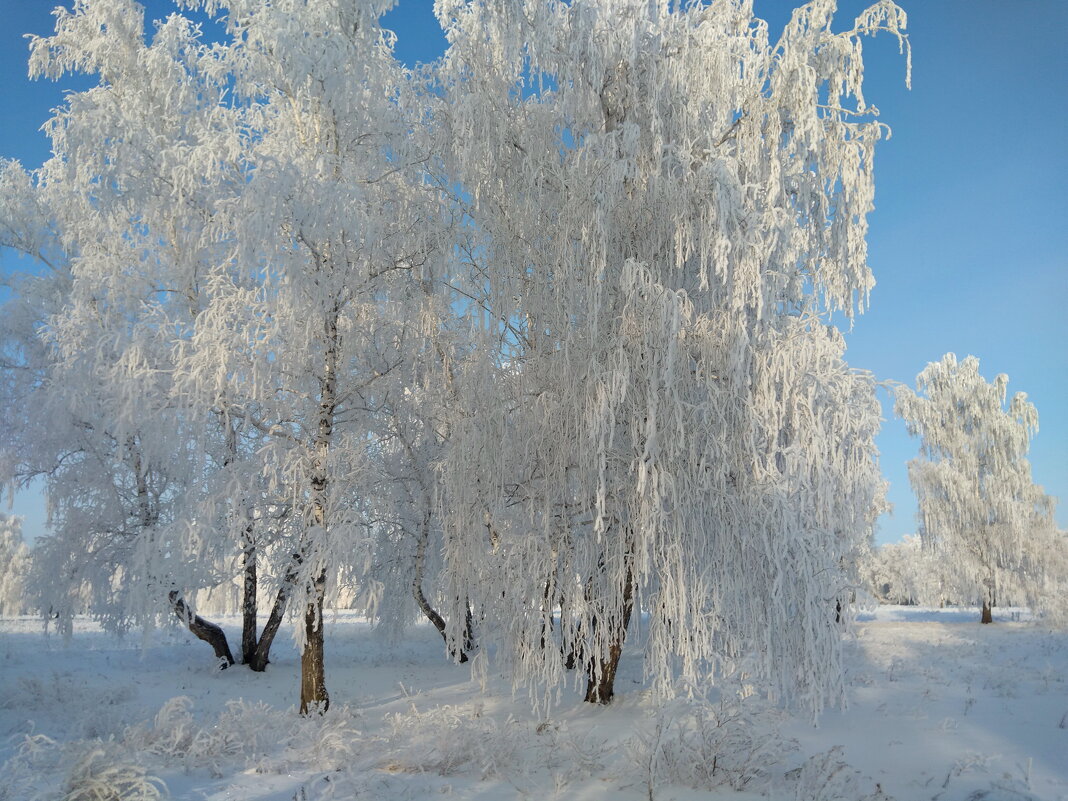 В серебре - Валентина Богатко В серебре - Валентина Богатко