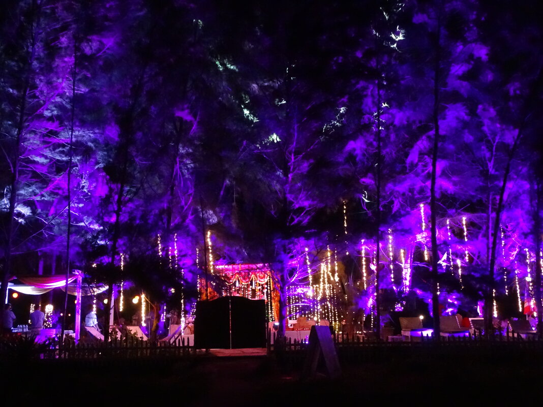 Вечеринка на пляже - Павел Трунцев