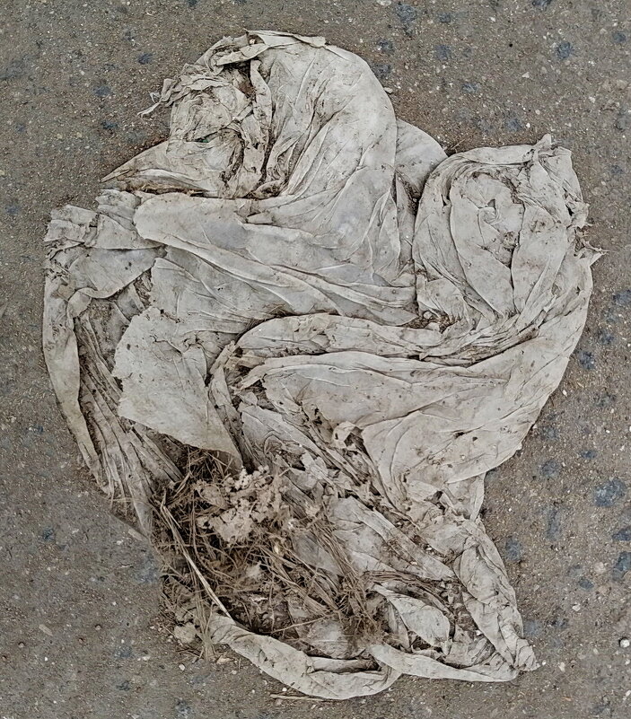 Лохмотья жалкой нищеты, изнеможенные черты и, выражающий укор, спокойно-безнадежный взор… - Юрий Вовк Лохмотья жалкой нищеты, изнеможенные черты и, выражающий укор, спокойно-безнадежный взор… - Юрий Вовк