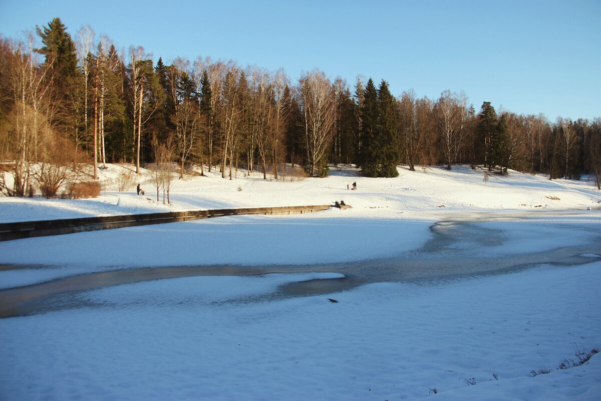Зимний Павловск - Наталья Герасимова Зимний Павловск - Наталья Герасимова