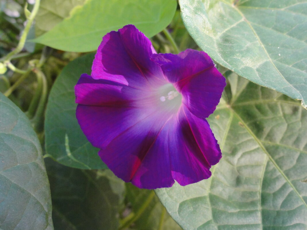 ... - марина ковшова 