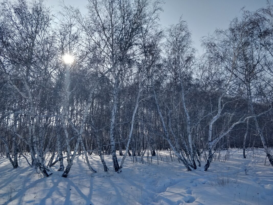 Березаньки - Андрей Хлопонин