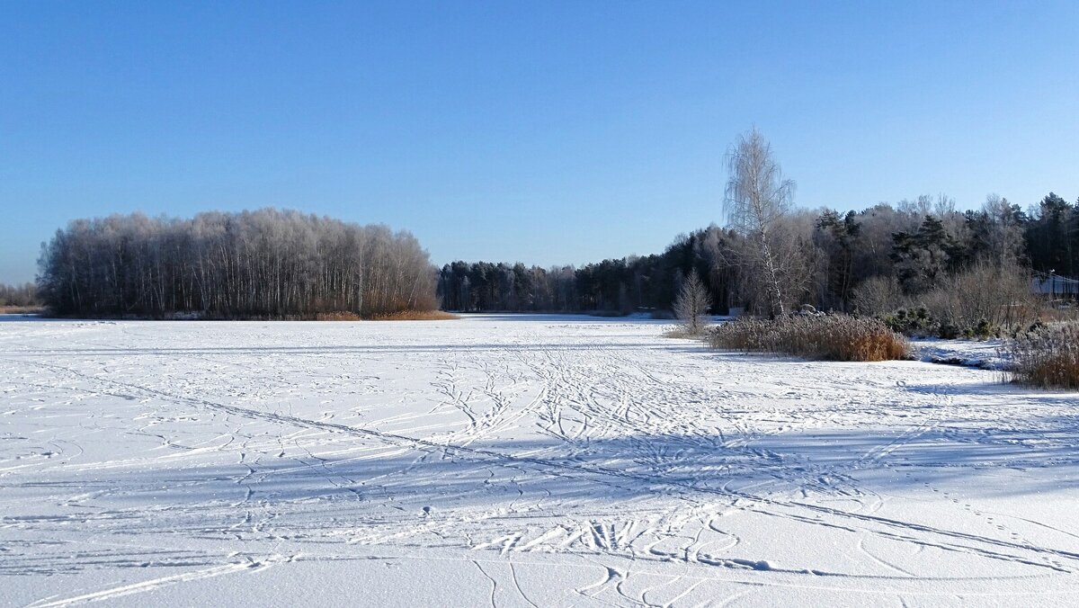 Сельский каток. - Милешкин Владимир Алексеевич 