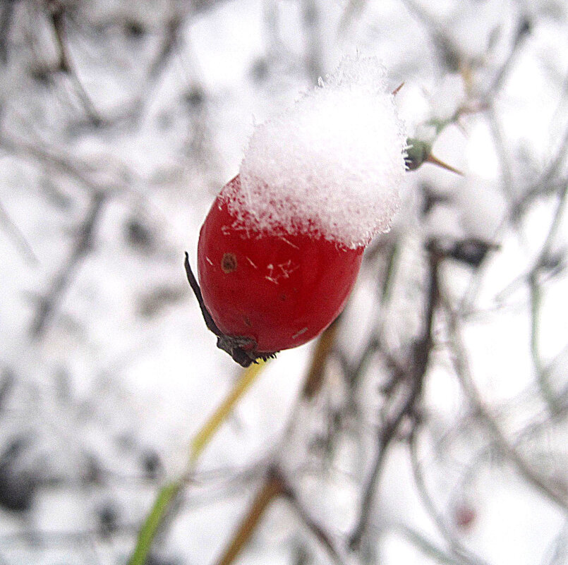 Это было зимой - Елена Семигина Это было зимой - Елена Семигина