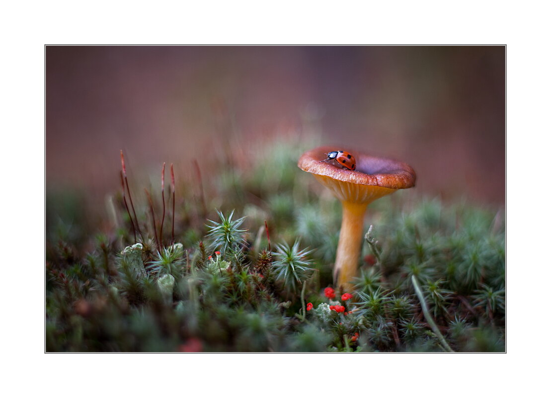 *** - Art __ *** - Art __