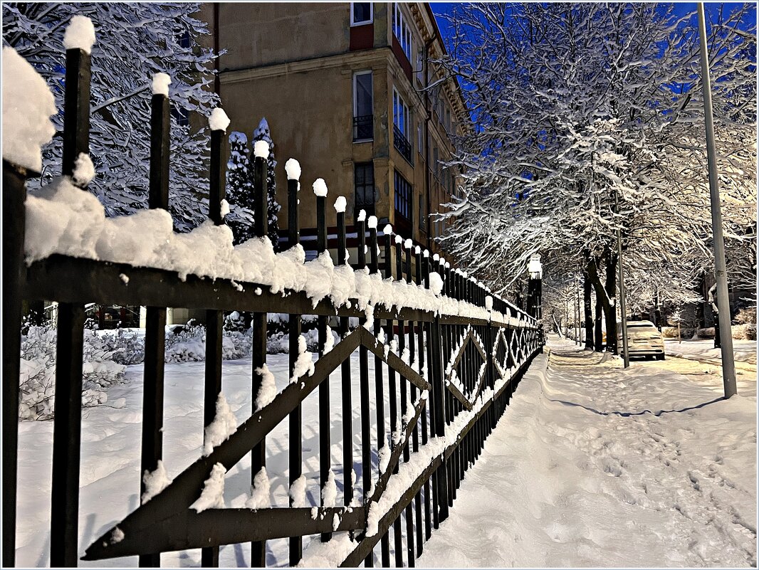 Изгородь. - Валерия Комова