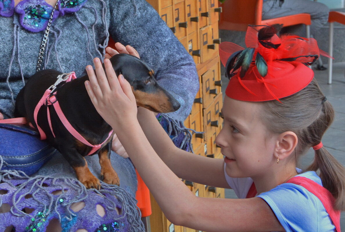 ... - Анастасия Смирнова