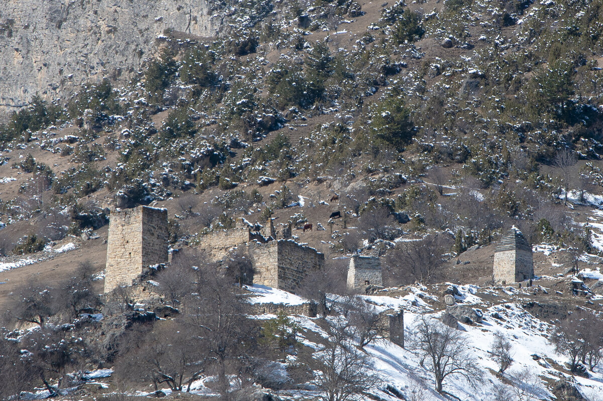 Горная Ингушетия. 2022 год - Gen Горная Ингушетия. 2022 год - Gen