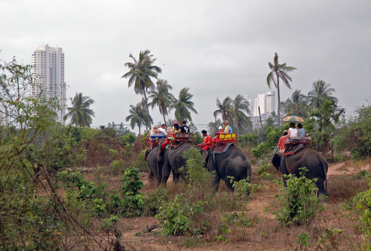 На пути к цивилизации. - Борис Бутцев На пути к цивилизации. - Борис Бутцев
