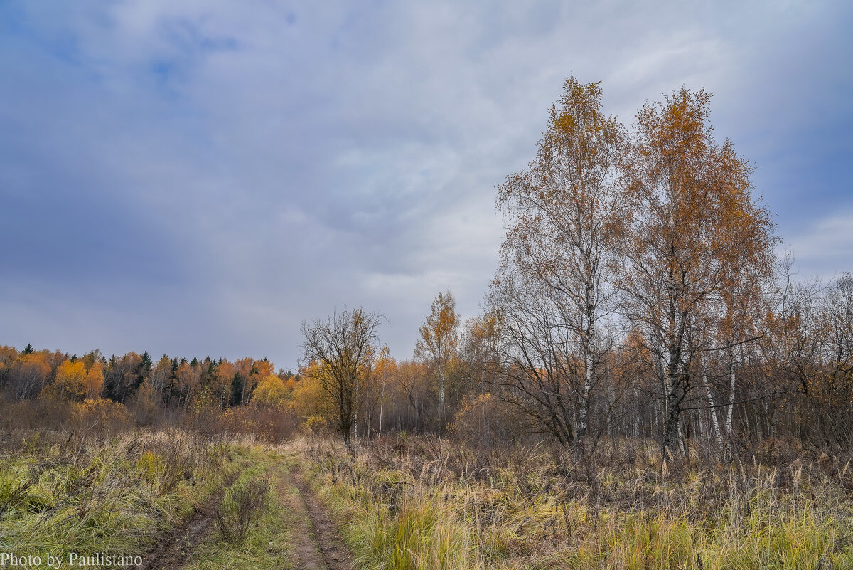 В поле... - Владимир Жданов В поле... - Владимир Жданов