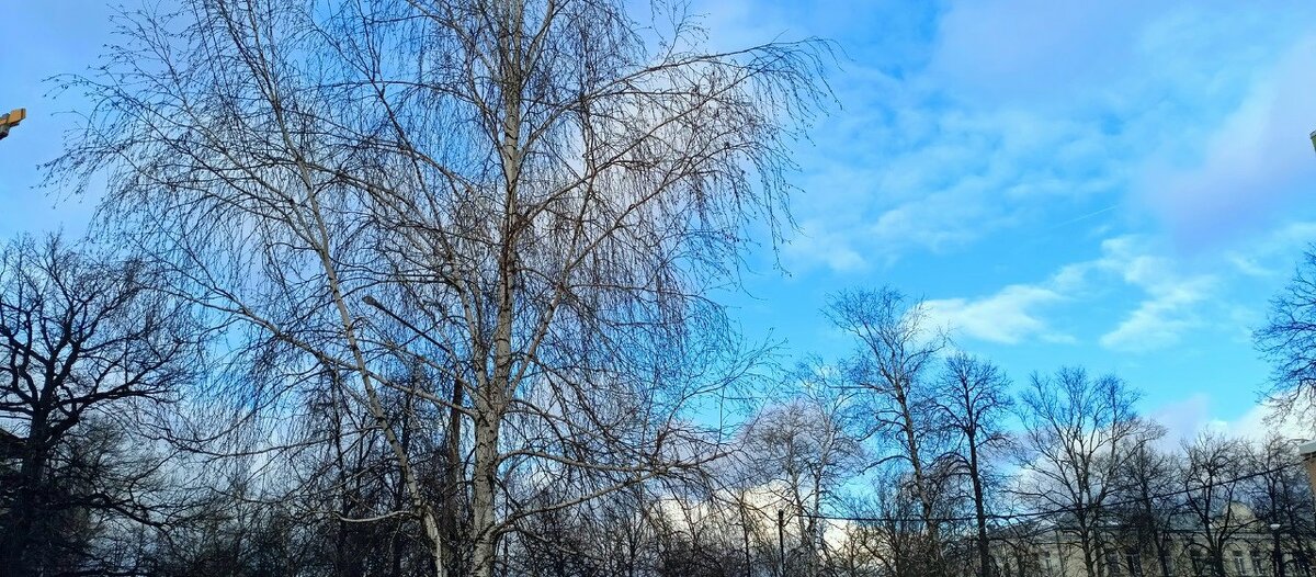 Небо. - Михаил Столяров