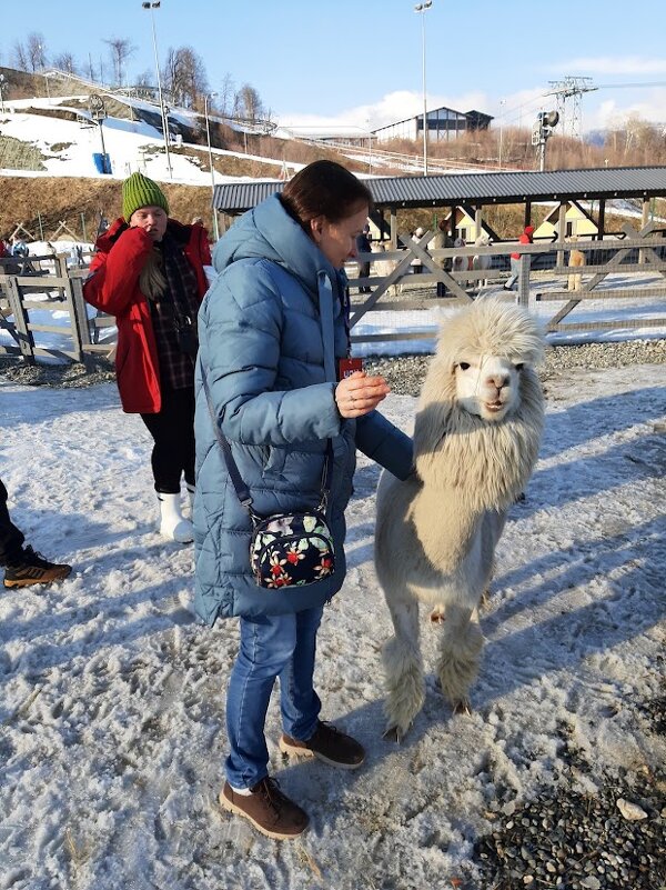 КРАСНАЯ ПОЛЯНА. ФЕВРАЛЬ 2025 - Tata Wolf