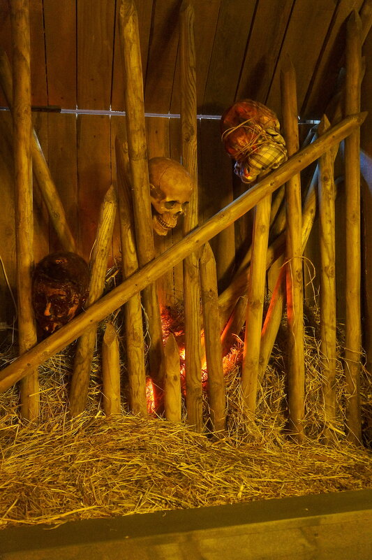 Kilt & seven pints - zavitok *