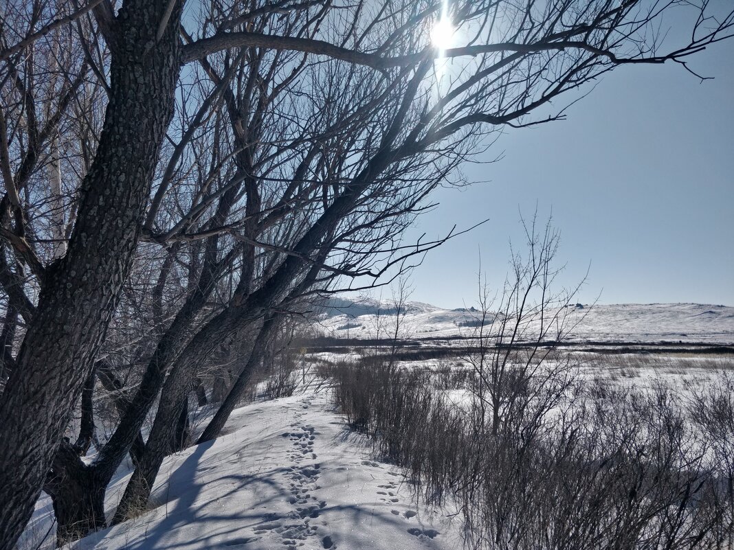 Солнце. - Андрей Хлопонин Солнце. - Андрей Хлопонин