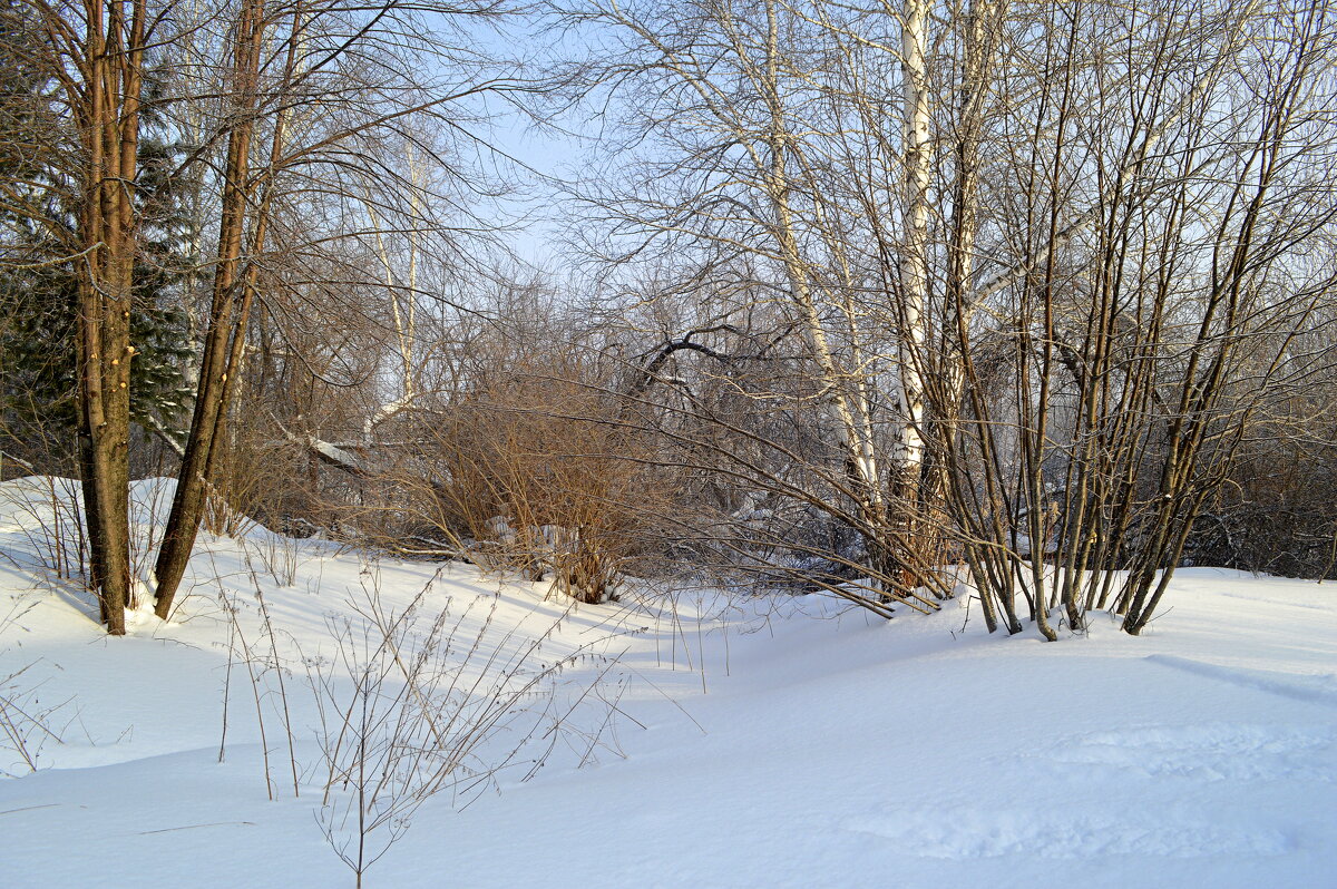 По зимнему берегу Ини - Татьяна Лютаева По зимнему берегу Ини - Татьяна Лютаева