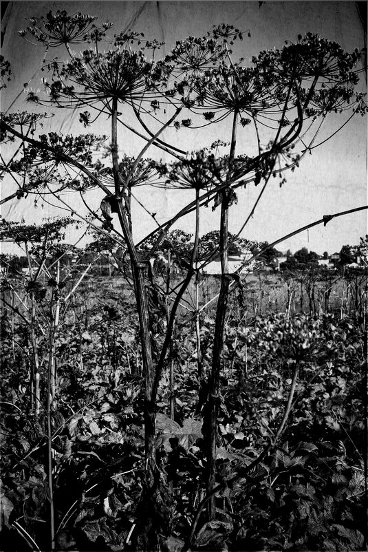 Название отсутствует - Денис Безногов