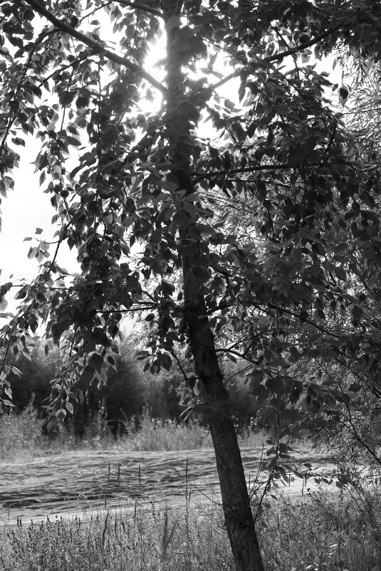 Название отсутствует - Денис Безногов Название отсутствует - Денис Безногов