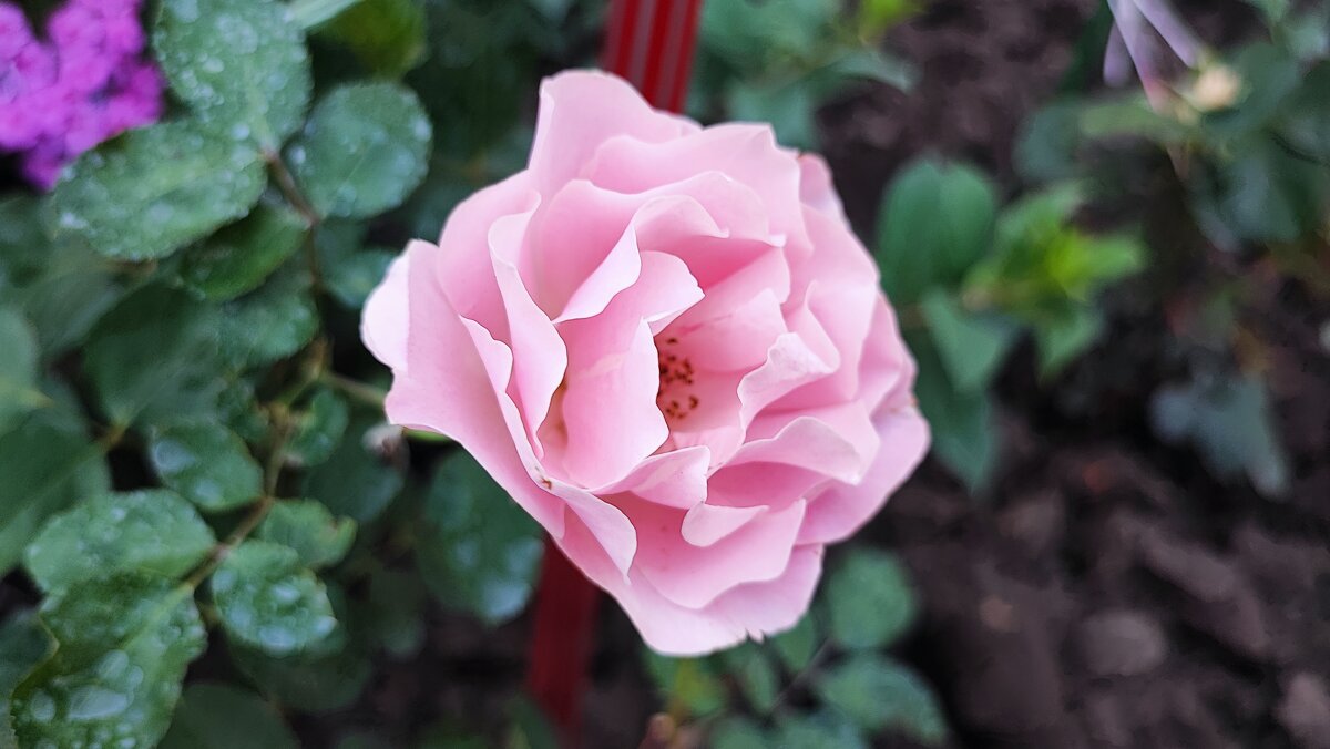 ,,, - Сергей Тимоновский ,,, - Сергей Тимоновский