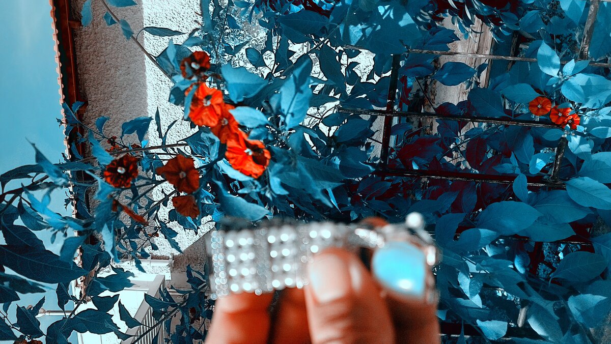 12  КЛОС (576) - CLOSE WAYS ALL