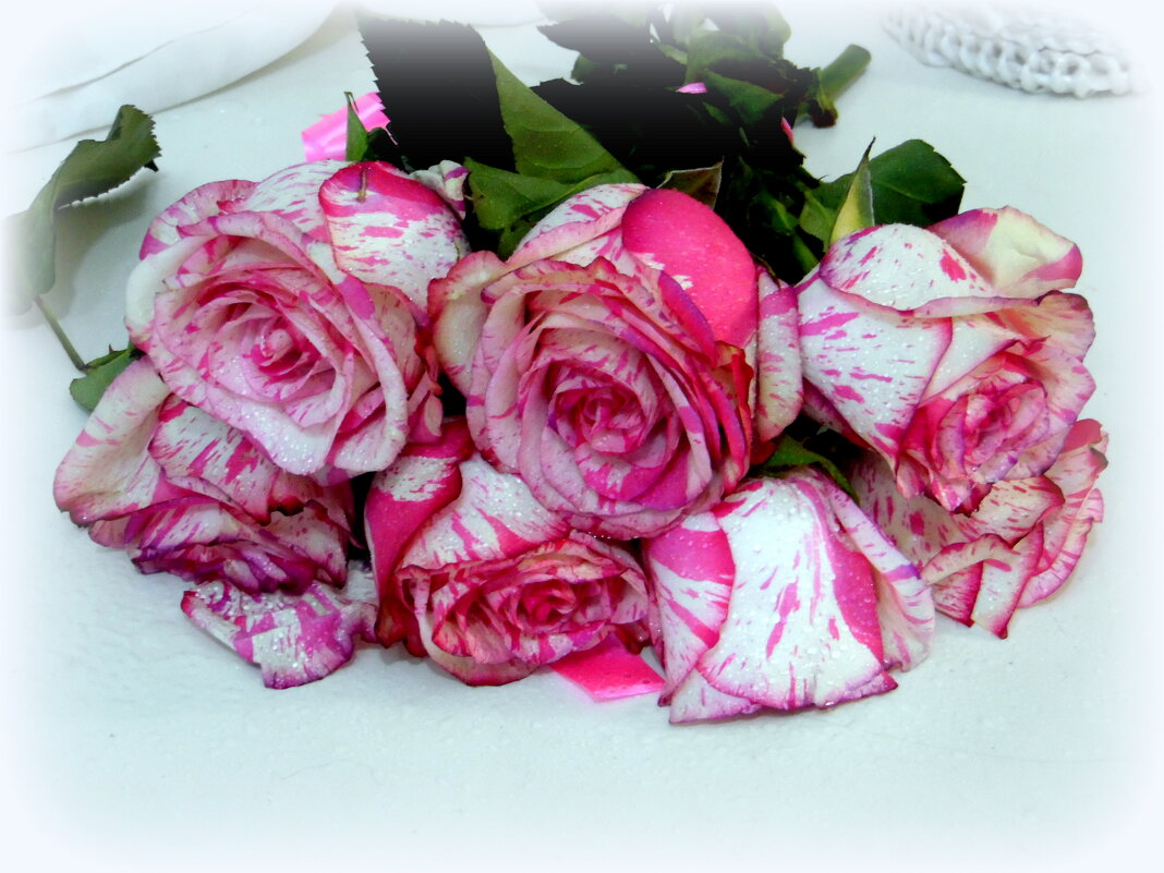 Розы. - nadyasilyuk Вознюк Розы. - nadyasilyuk Вознюк