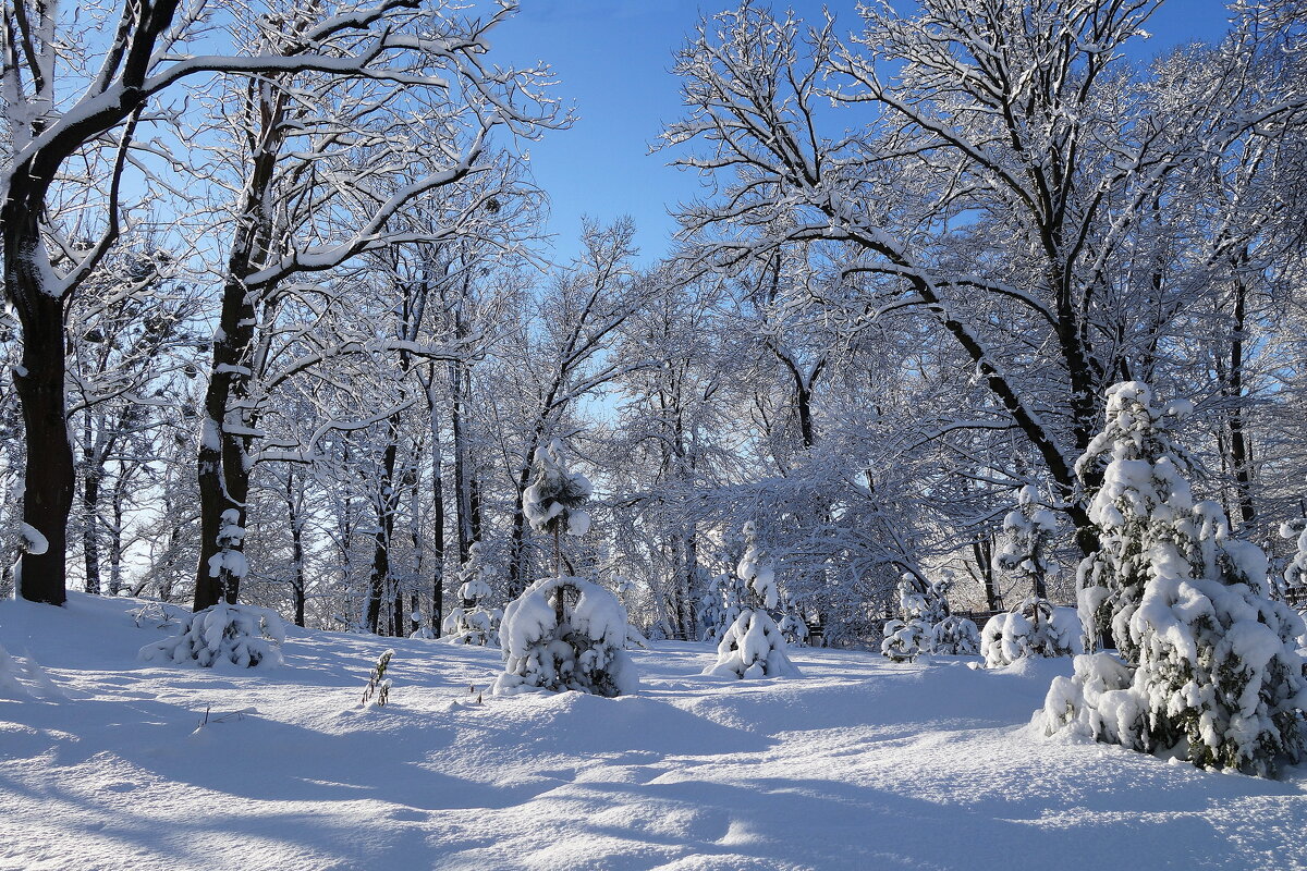 Солнечный, снежный февраль - Рита Симонова Солнечный, снежный февраль - Рита Симонова
