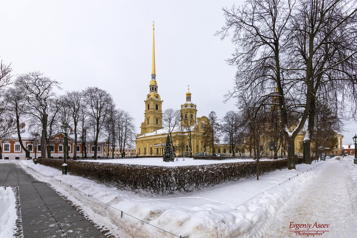 Предновогодняя Петропавловка - Евгений Предновогодняя Петропавловка - Евгений