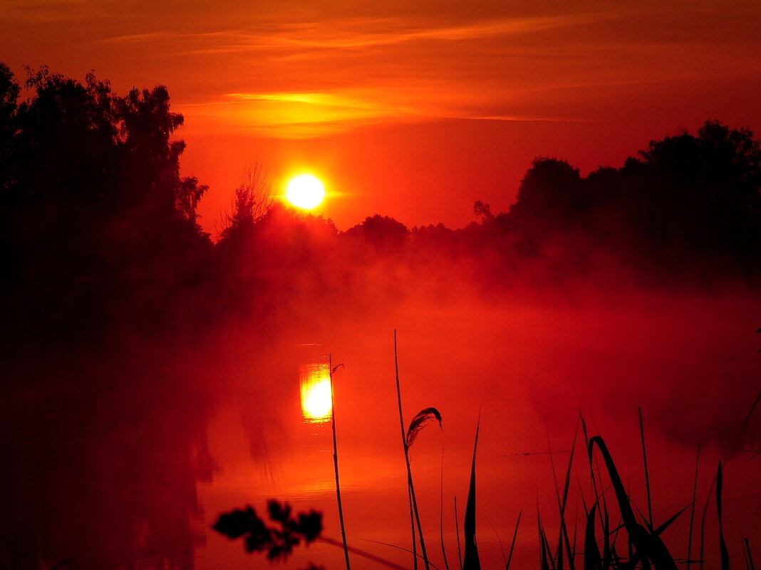 Молодость  моя  Белоруссия - олег свирский 