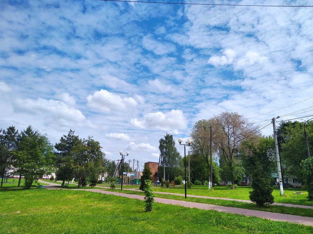 Летом - Елена Семигина