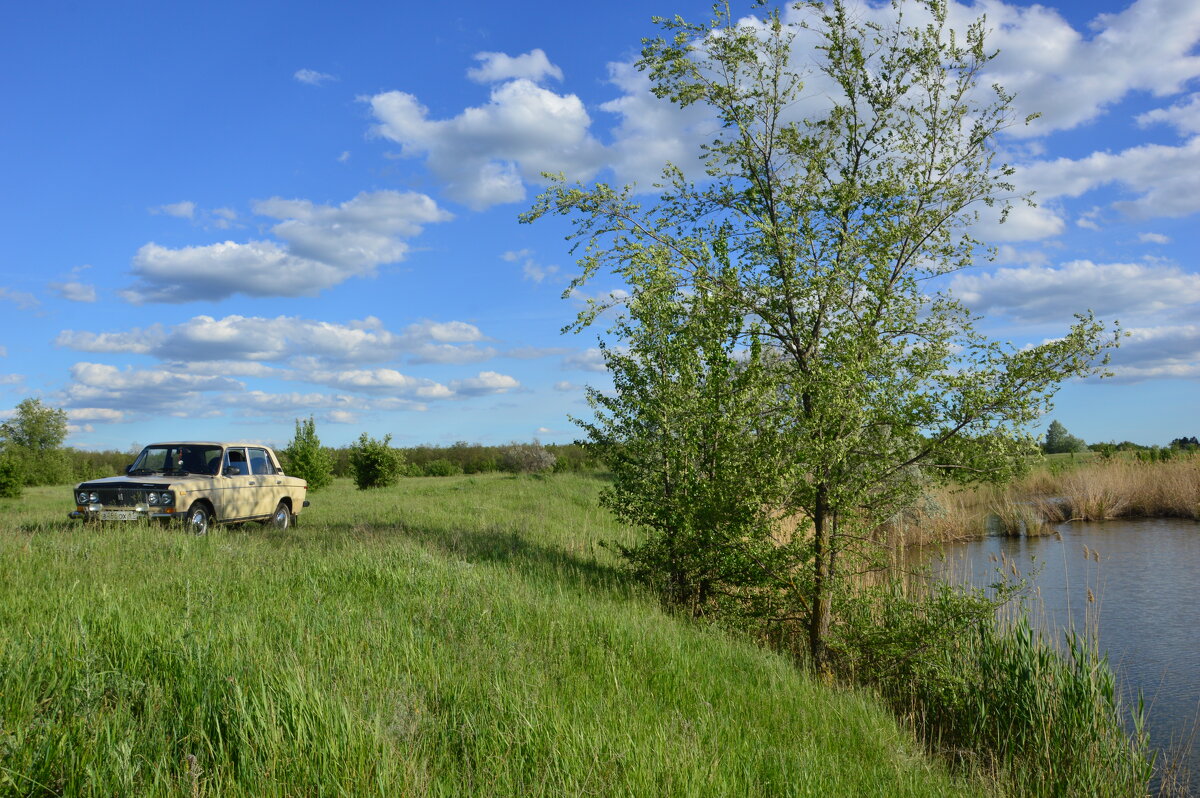 Весна. - Виктор Весна. - Виктор