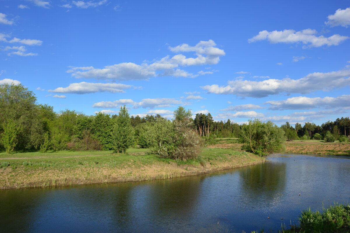У реки. - Виктор 