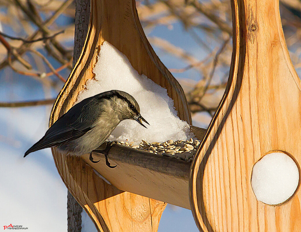 Завтрак - Андрей Пристяжнюк