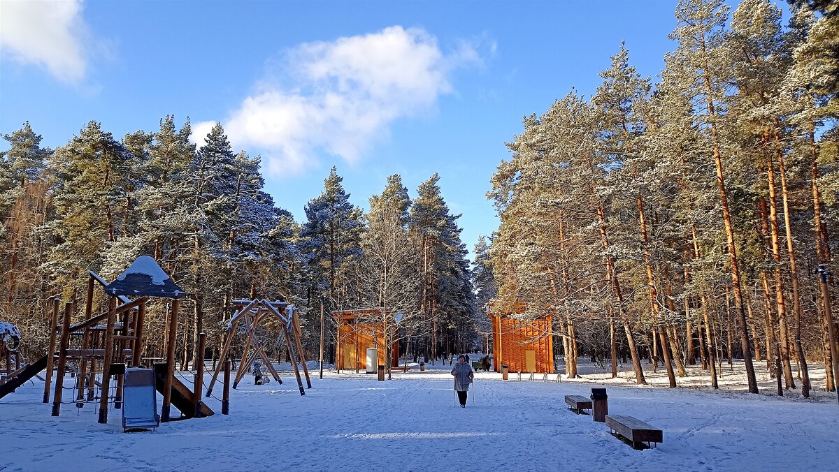 Лесная опушка - Татьяна Тюменка Лесная опушка - Татьяна Тюменка