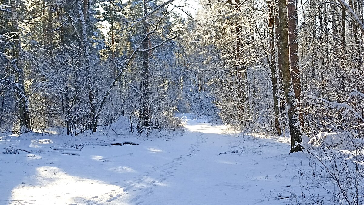 Настоящий февраль - Татьяна Тюменка Настоящий февраль - Татьяна Тюменка