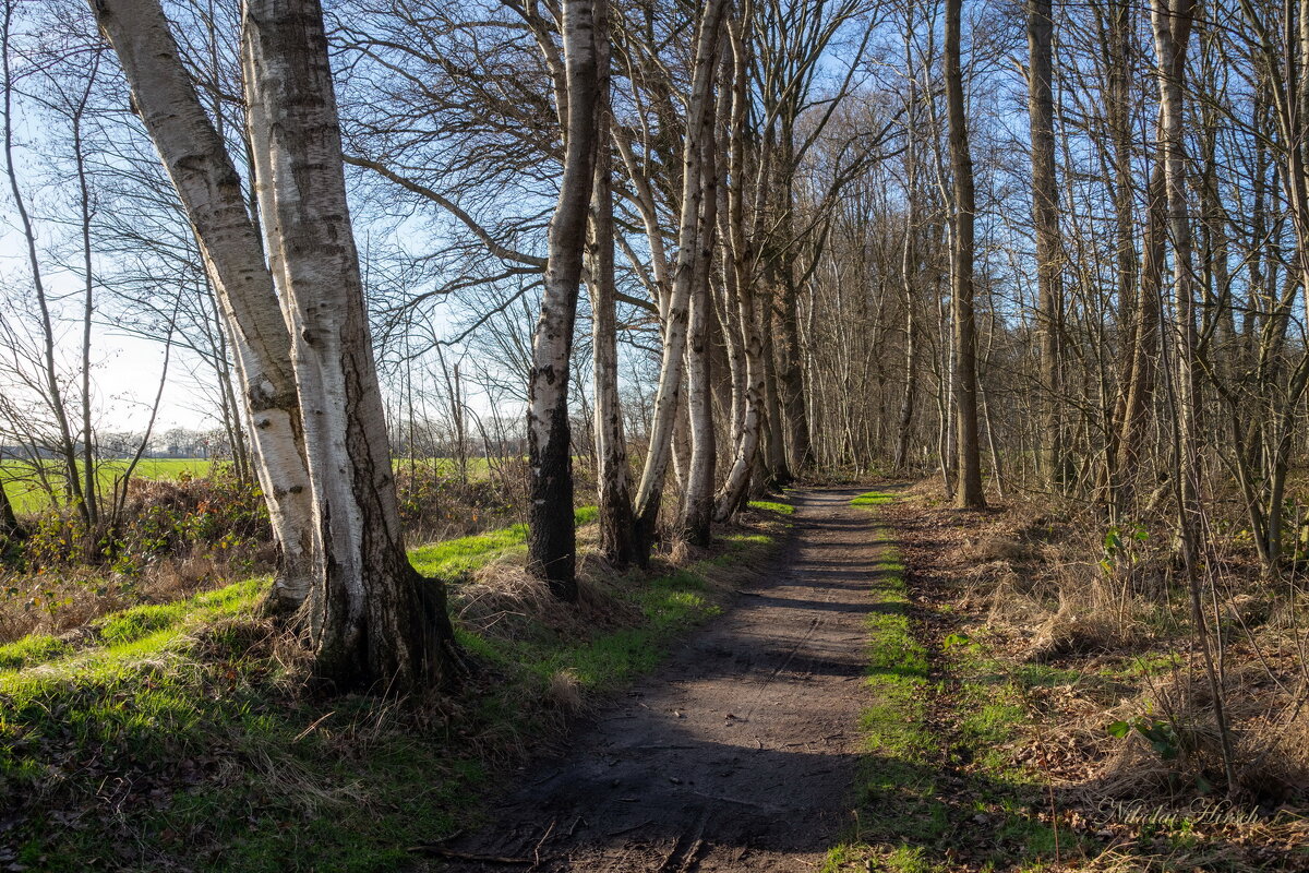 *** - Николай Гирш