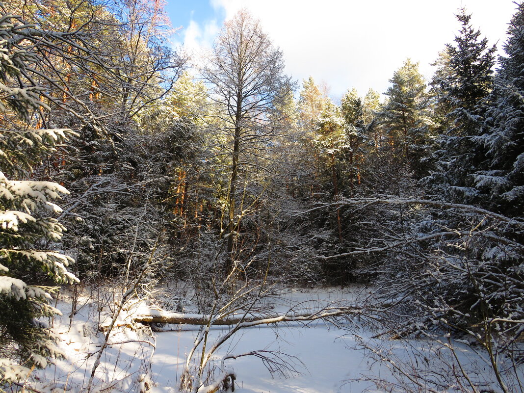 После снегопада - Андрей Снегерёв