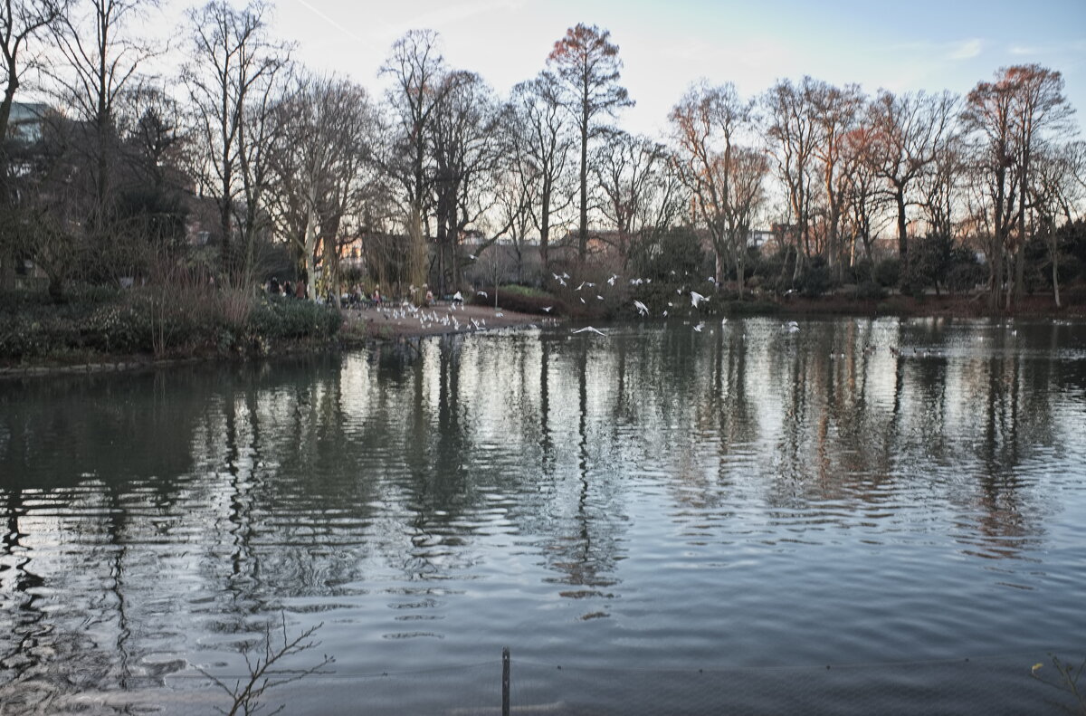 *** - Witalij Loewin