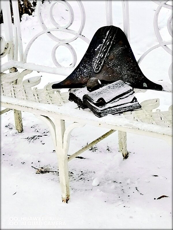 В парке забытые вещи ... - Сергей В парке забытые вещи ... - Сергей