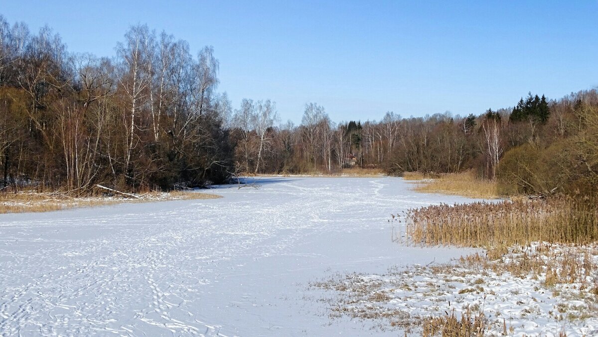 Февраль на Смоленщине. - Милешкин Владимир Алексеевич 