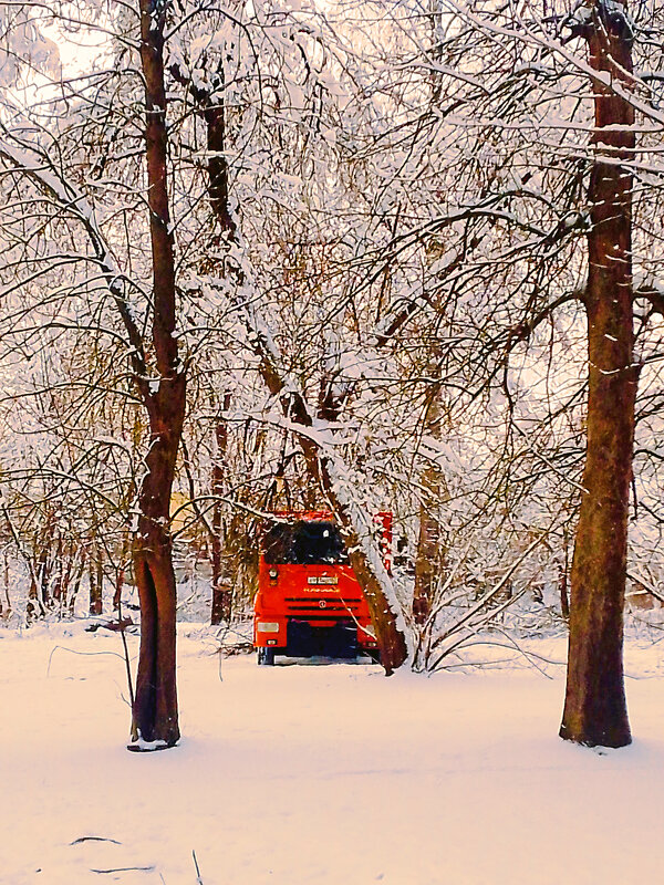 Зимний день в Захаровском  парке - Сергей Кочнев