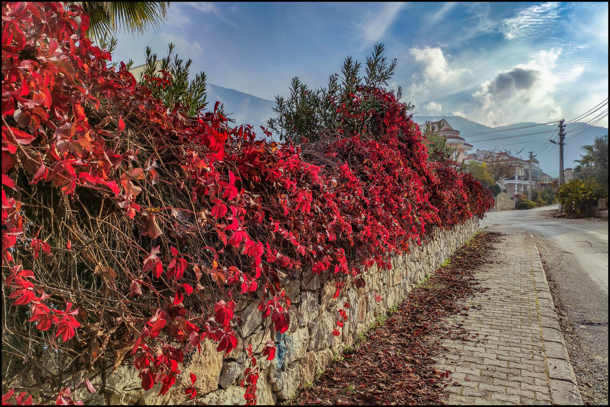 Турецкий мотив - **** vedin Турецкий мотив - **** vedin