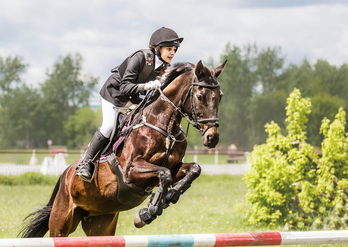 Конкур - SanSan 