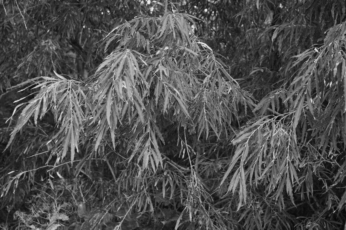 Название отсутствует - Денис Безногов Название отсутствует - Денис Безногов